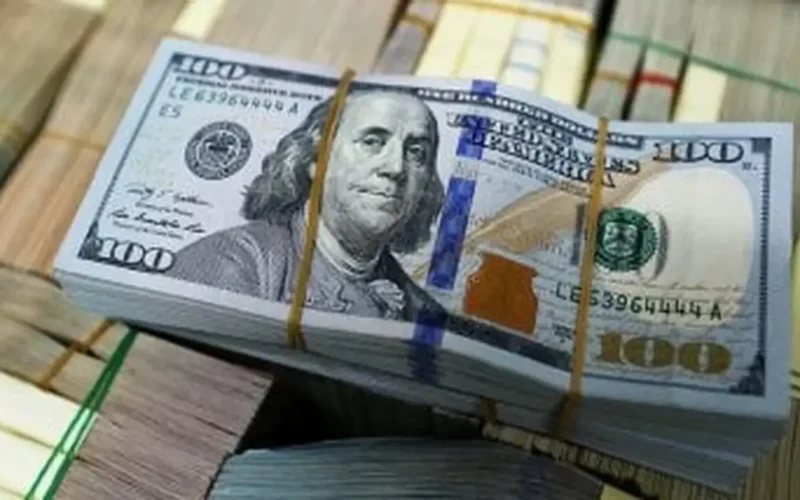 ثبات ملحوظ.. سعر الدولار أمام الجنيه المصري في تعاملات السبت 31 يناير 2026